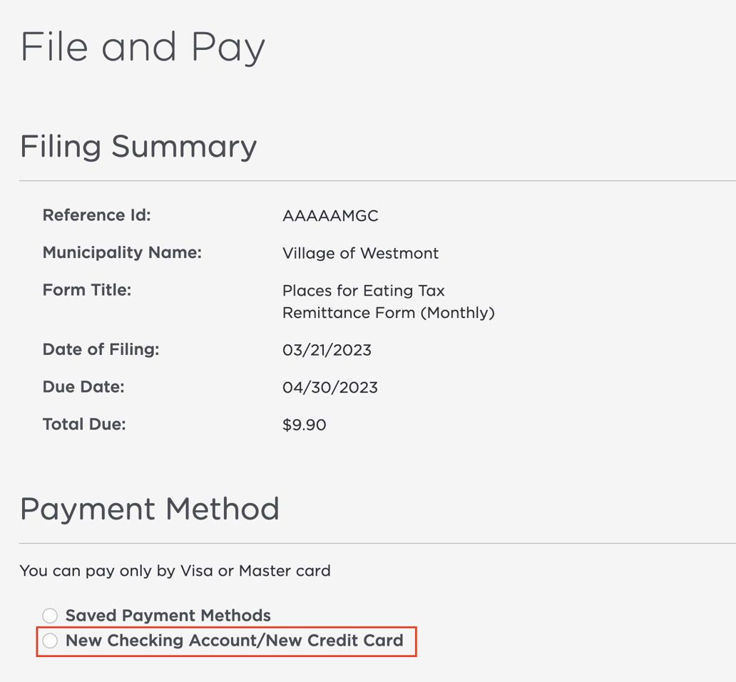 how-do-i-make-a-payment-on-localgov